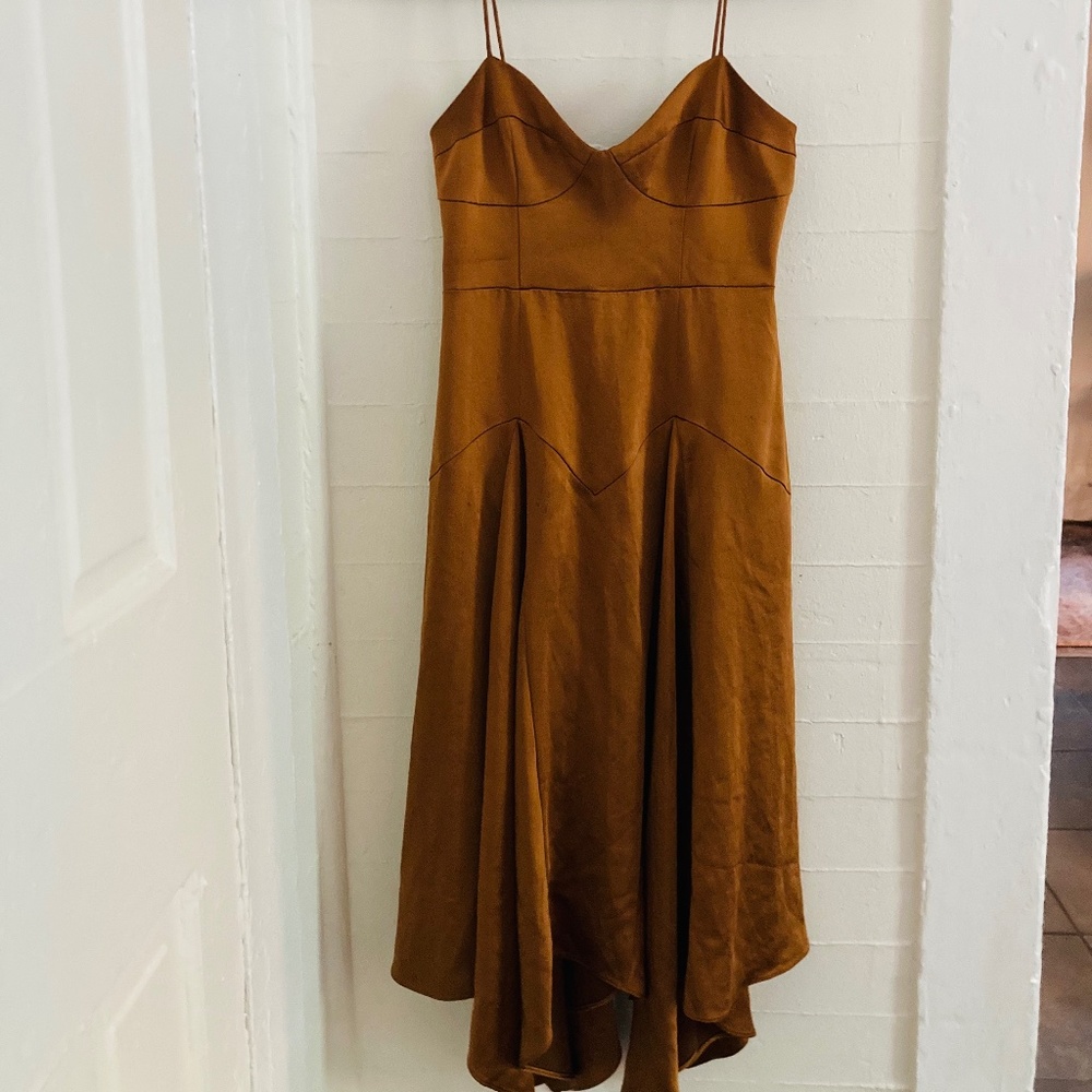 Rust, Copper Fame and Partners Dress